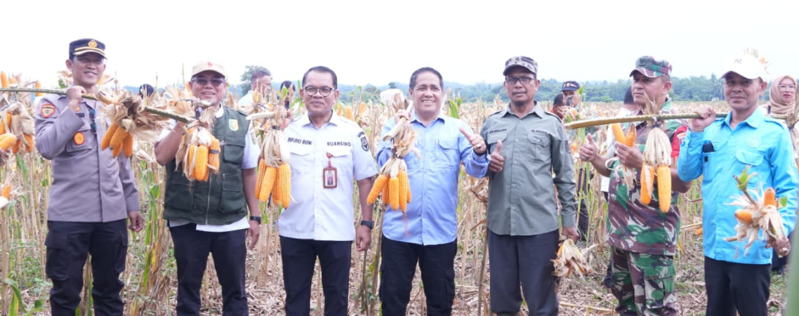 Gambar berita